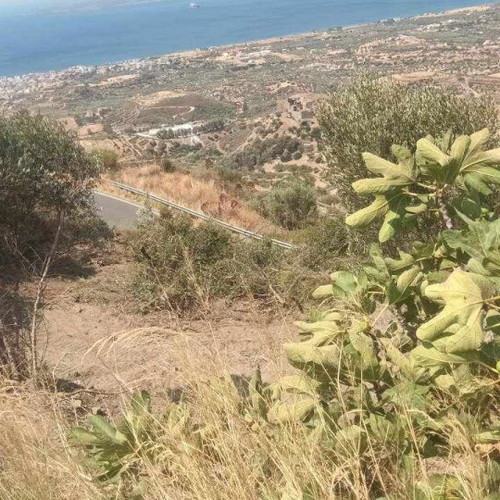 Buildable agricultural land 2,030 sqm in Mesochori Voion Laconia with view
