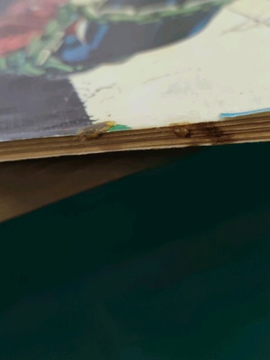 Spiderman issue 331 used