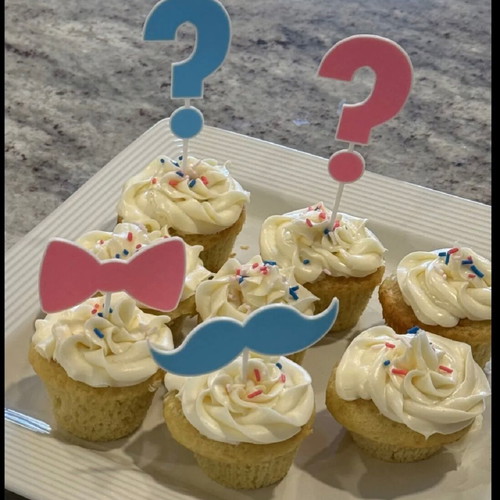 Cupcake decorations gender reveal set of 4 new