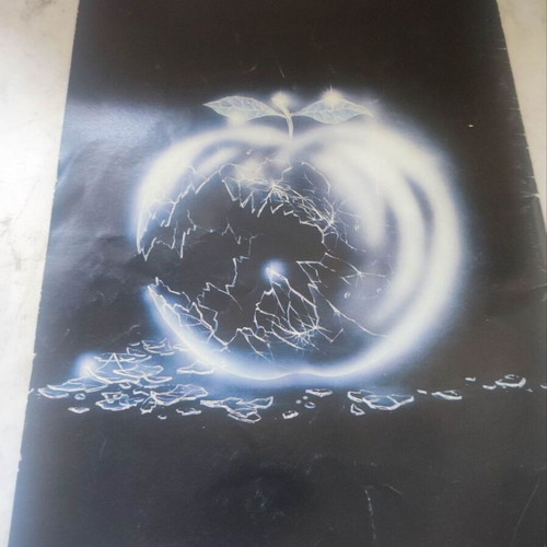 Whitesnake Come An' Get It 1981 tour program used