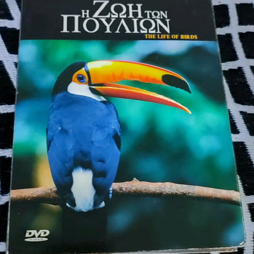BBC The Life of Birds 4 DVD Like New, Missing One DVD