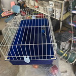 Rabbit cage like new