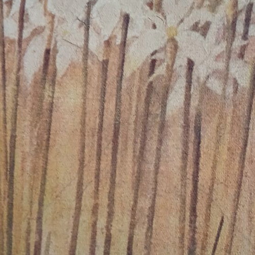 Diptych canvases used, set of 2, 50x30 cm