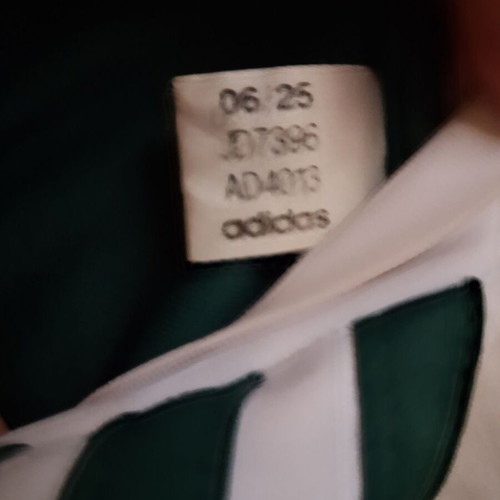 Adidas Panathinaikos 2025-26 home shirt, size M, with Tete name set