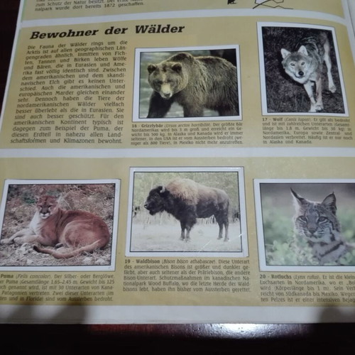 Panini WWF 1986 album used, German edition