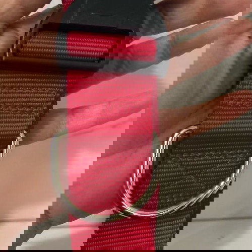 Немски нашийник нов за средни и едри породи