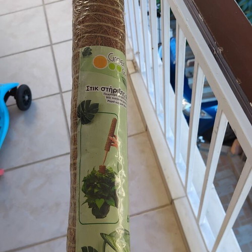 Green Garden moss pole plant support 60 cm