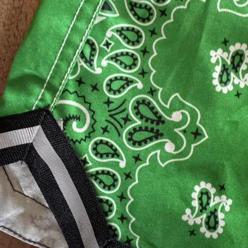 MC2 Saint Barth swim shorts like new, size 152 cm, green