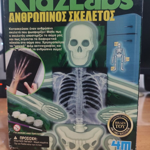 4M KidzLabs Human Skeleton educational toy