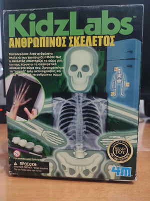 4M KidzLabs Human Skeleton educational toy