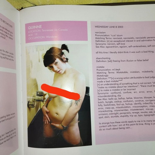 SuicideGirls book like new, English, photography and art