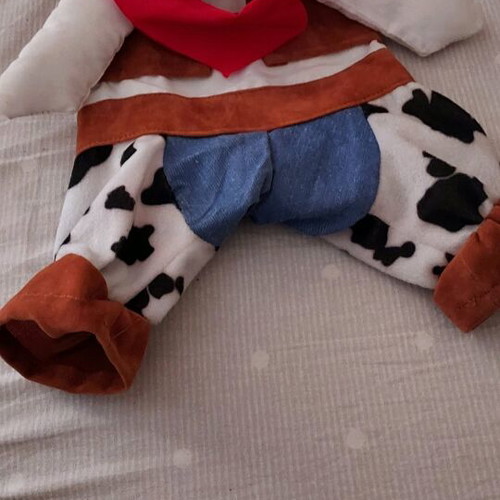 Pet clothing like new, for small dog