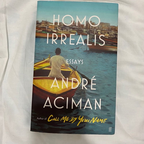 Homo irrealis book new