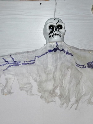 The Scarecrow of the Century used, vintage, rare piece