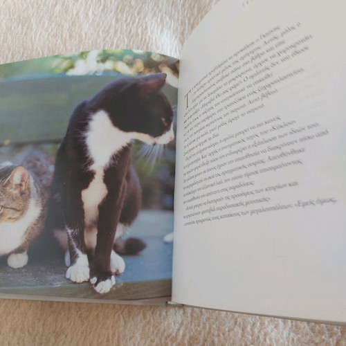 Book album The Seven Souls of Athens new