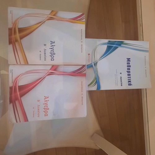 Mathematics Grade 11 3 used books, Algebra A & B and orientation group