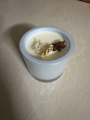 Soy candle lemon slice scent 300g new