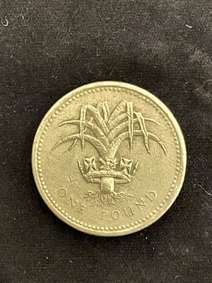 British one pound coin used with Welsh national emblem 1985