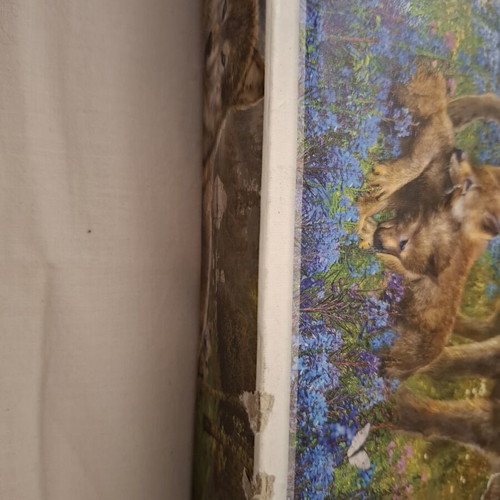 Puzzle 500 pieces used