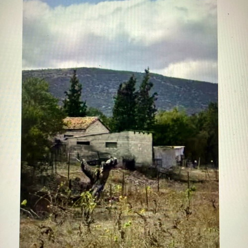 Land 1600 m² with two stables inside plan in Fokida