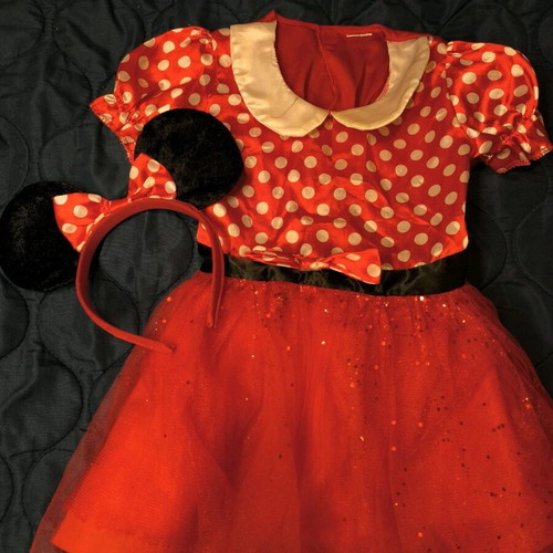Minnie Mouse costume for girls 2-4 years, used