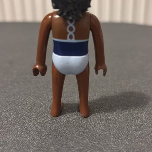 Playmobil used