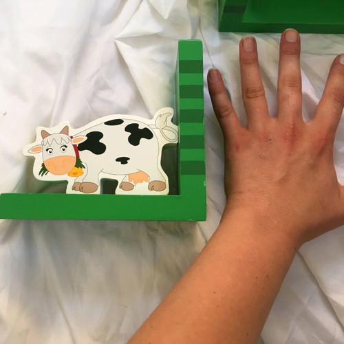 Wooden Cow Bookends like new