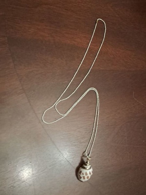 Long summer necklace new with shell