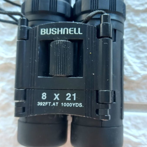 Bushnell Binoculars like new with case