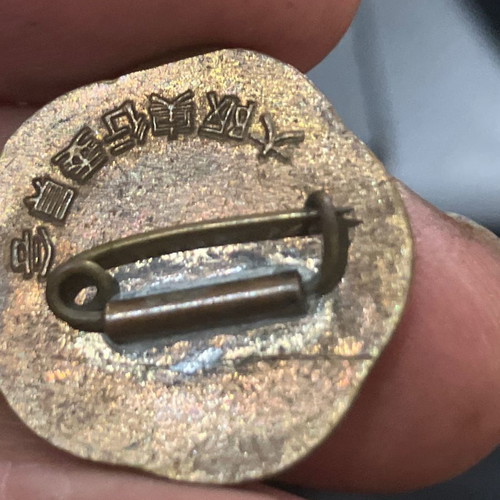 Soviet Union pin used from 6th Moscow World Festival 1957
