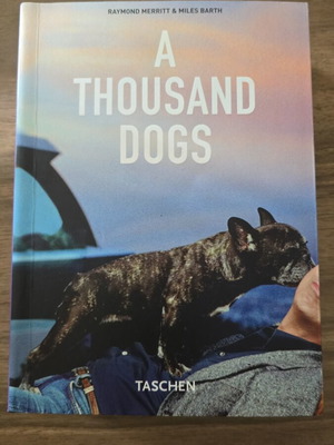 Book A Thousand Dogs in excellent condition