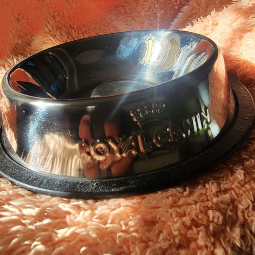 Metal cat or small dog bowl new, 13.5 cm diameter