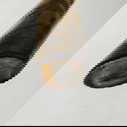 Μπρούτζινος μύλος του καφέ μεταχειρισμένος παλιός