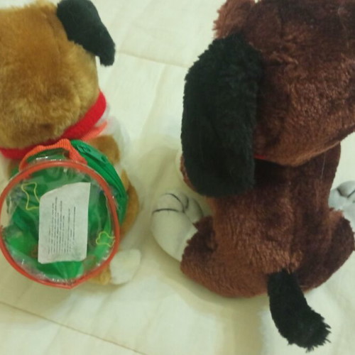 Plush dog set used, pack of 2