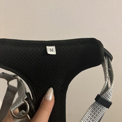 Dog Harness Active Medium Size Grey New