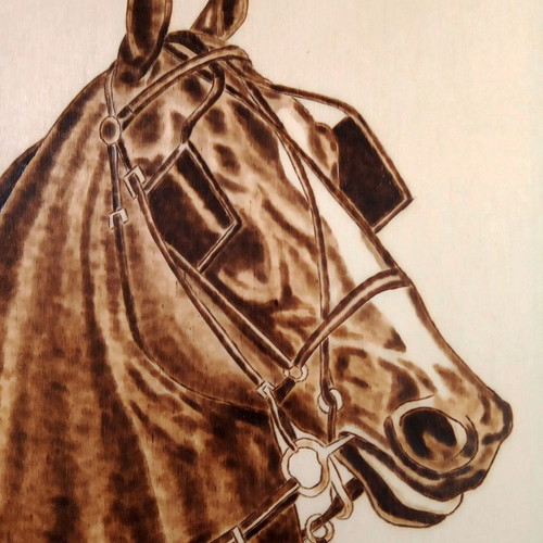 Horse Portrait Pyrography Painting on Birch Wood by Triantafyllos Xanthopoulos