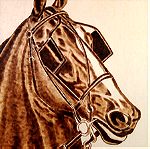  Πορτρέτο Αλόγου - Πίνακας Πυρογραφίας