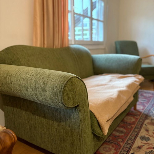 Living room sofa used, needs upholstery change