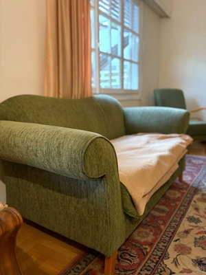 Living room sofa used, needs upholstery change
