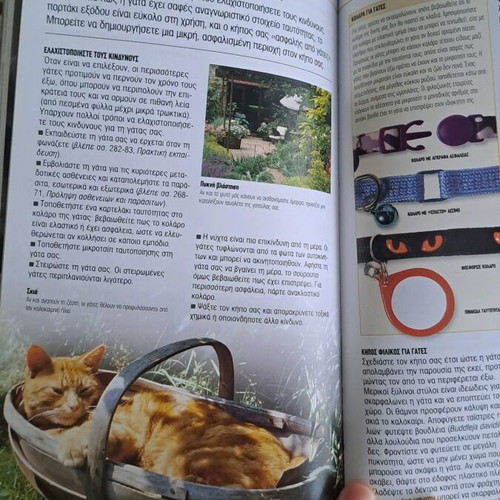 Cats book new with breeds, care, and behavior