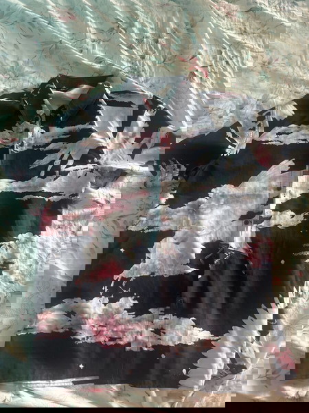 Amiri  phgasus shirt