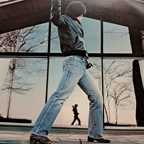 Billy Joel Glass Houses LP