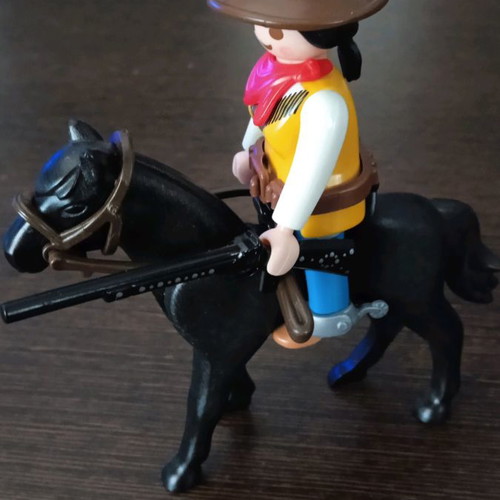 Playmobil Western used