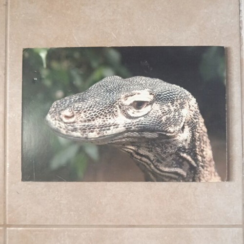 Art print on compressed wood used with print