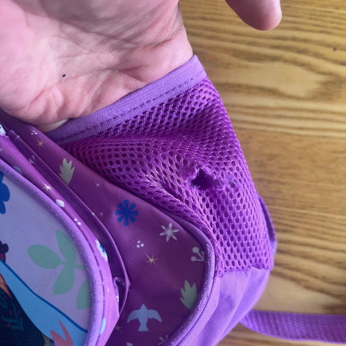 Disney Frozen backpack used with fur keychain, purple multicolor