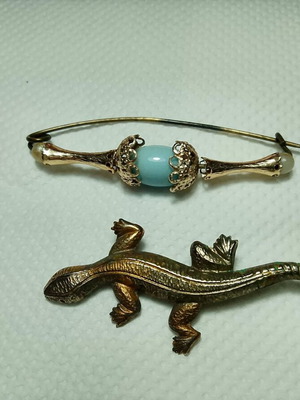 Jewelry vintage pins 1950-60 Victorian style and salamander used, set of 2