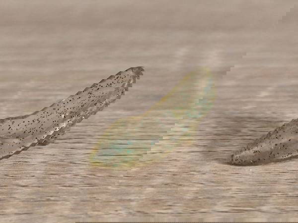 Vintage Bibibo Παπούτσι Glitter Γόβα Γοβάκι Τακούνι