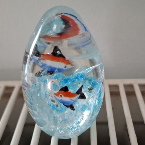 Art Glass Paperweight Clear Glass Egg with Ocean Scene and Fish used