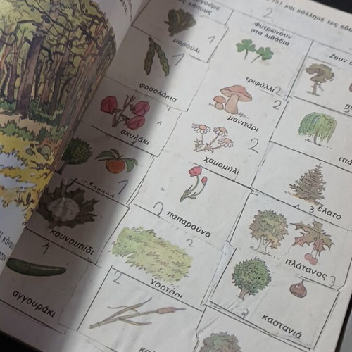 Emeis kai o Kosmos first grade textbook used