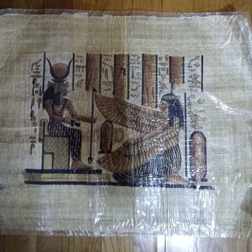 Egyptian papyrus new